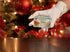 Santa Proof Evidence Kit